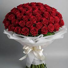 Букет 101 Красная роза Блэк Мэджик в Энеме