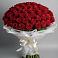 Букет 101 Красная роза Блэк Мэджик в Энеме