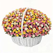 Премиум букет из: Розы в Энеме