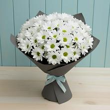 Букет цветов из:  Хризантемы в Энеме