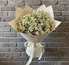 Букет цветов из:  Ромашки #REPLACE_PRED# Энеме
