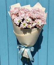 Букет цветов из:  Хризантемы #REPLACE_PRED# Энеме