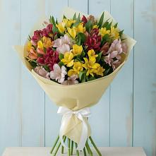 Букет цветов из:  Альстромерии в Энеме
