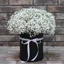 Цветочная композиция из Гипсофила в шляпной коробке в Энеме