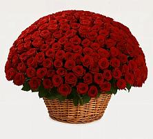 Премиум букет из: Розы в Энеме