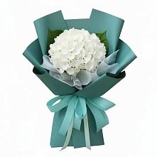 Букет цветов из:  Гортензия в Энеме